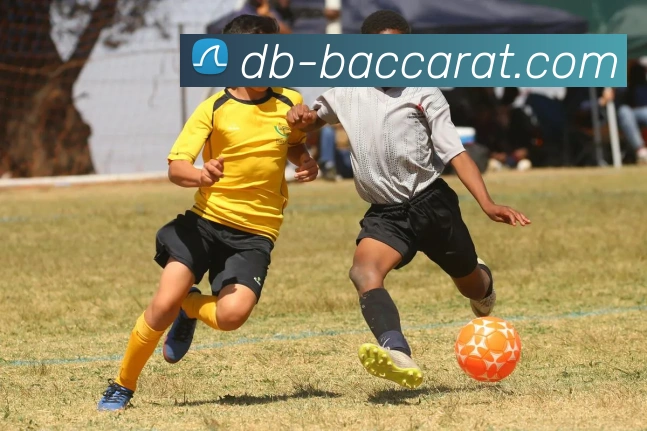 百家乐官网全站App